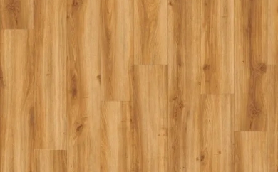 Amber 24438