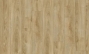 Aspen 22240