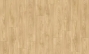 Dotterel 51332