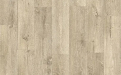 Kookaburra 88211