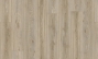 Moa 22246