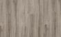 Quail 22937