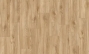 Shearwater 58346
