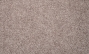 Tapioca