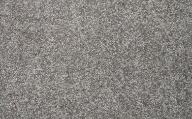 Taro