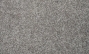 Taro